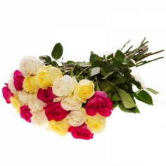 Букет из 25 разноцветных роз с лентой