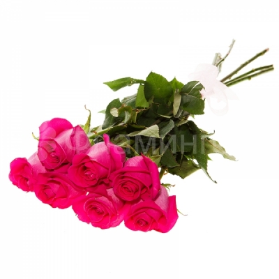 Букет из семи розовых роз
