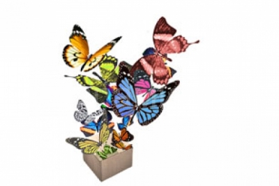 Живые бабочки в конверте или коробочке