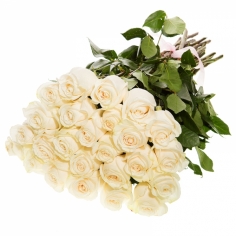 Букет из 25 белых роз с лентой