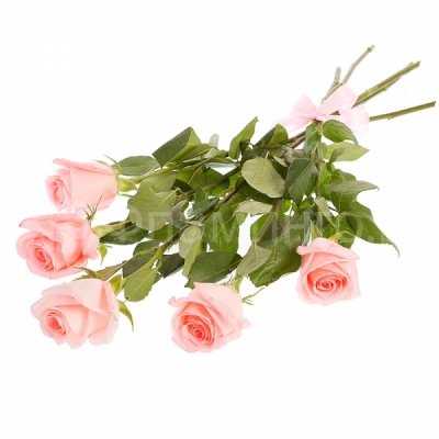Букет из пяти нежно-розовых роз