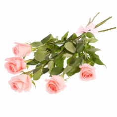 Букет из пяти нежно-розовых роз