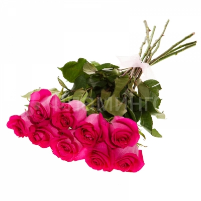 Девять розовых роз, перевязанные лентой